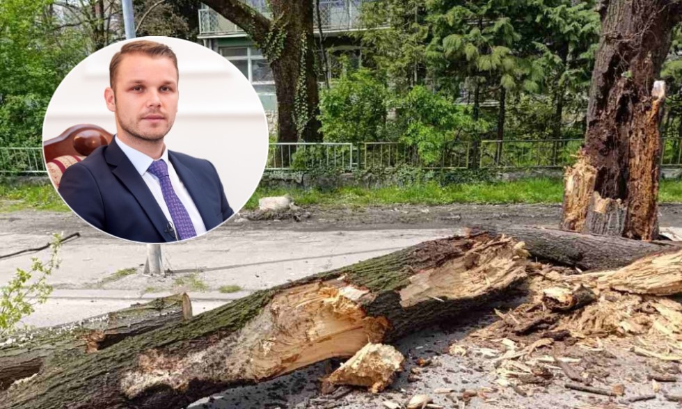 Stablo palo, tender kasni, gradonačelnik hvali službe: Napravili smo ozbiljan tim FOTO