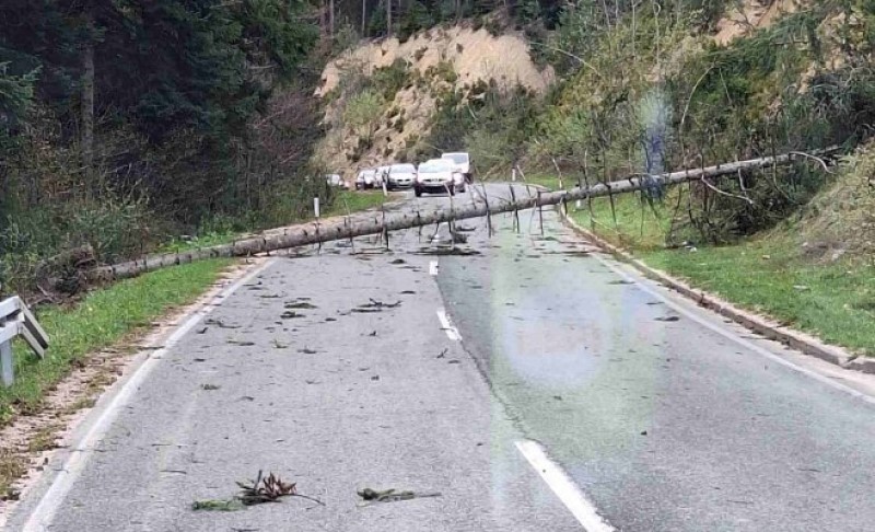 Olujni vjetar pravi haos! Srušilo se nekoliko stabala na putu Banjaluka-Čađavica FOTO