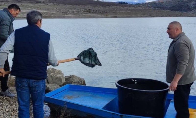 Puštanje mlađi: Bilećko jezero bogatije za čak 100.000 kalifornijske pastrmki