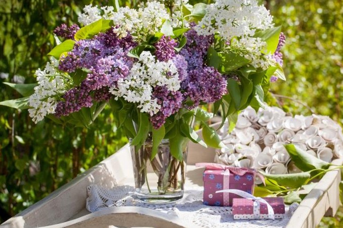 Ovo cvijeće unesite u kuću prije Uskrsa: Vjeruje se da donosi mir i sreću