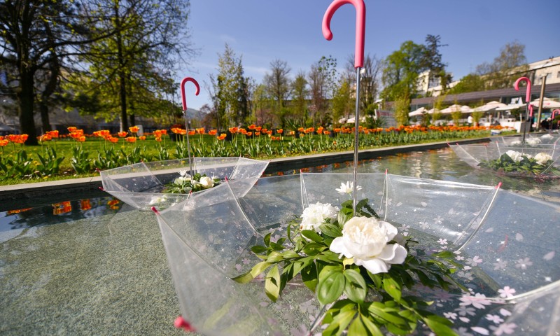 Naslovna slika br 54