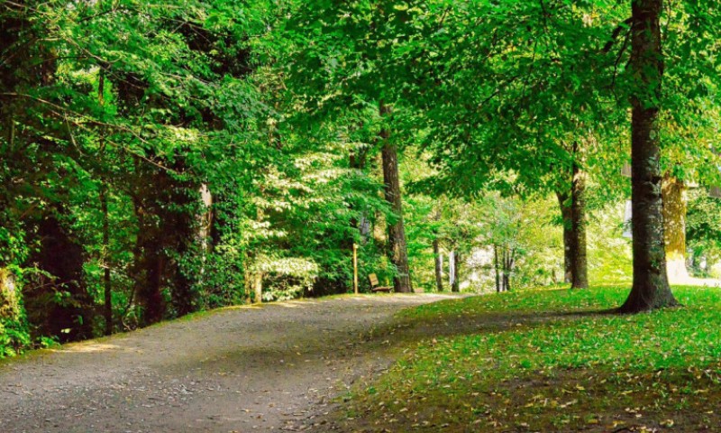 Zabrinuti roditelji alarmirali policiju: Djeca pronašla ljudsku lobanju u parku
