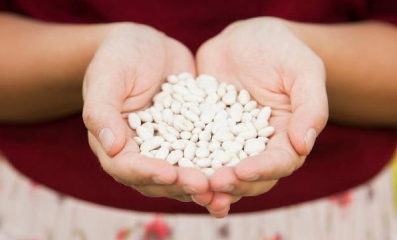 Zasitno jelo na kašiku: Pasulj je moćan saveznik u radu jetre, jedite ga češće