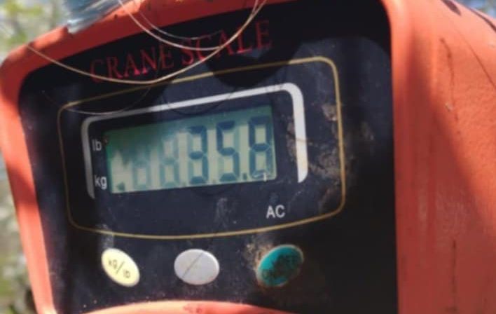 Ribolovac iz Novog Grada upecao “kapitalca”: “Borba je trajala 10 minuta” FOTO