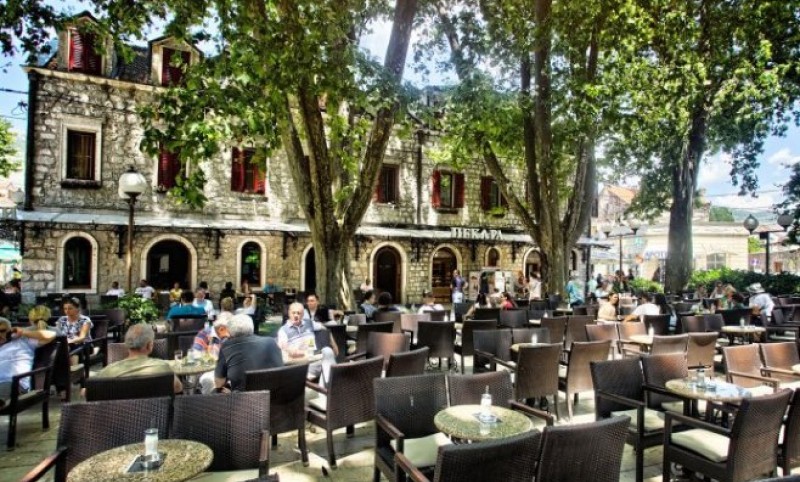 Posao za banjalučku firmu! Nova ispitivanja i mjere zaštite stoljetnih platana u Trebinju