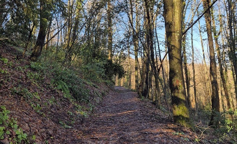 Zatvoren prolaz za posjetioce: Počela sanacija pješačke staze prema banjalučkom izletištu