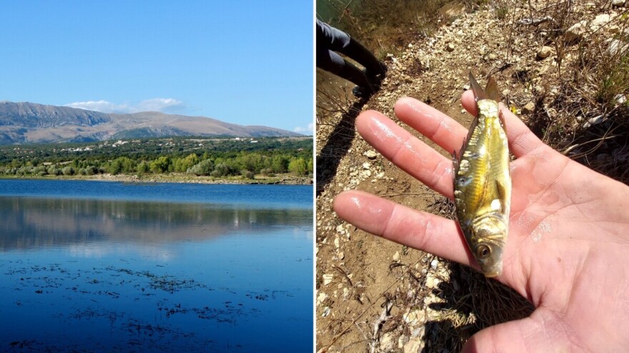 Krivolov usred mrijesta: Ko krade ribu iz Buškog jezera tokom noći?