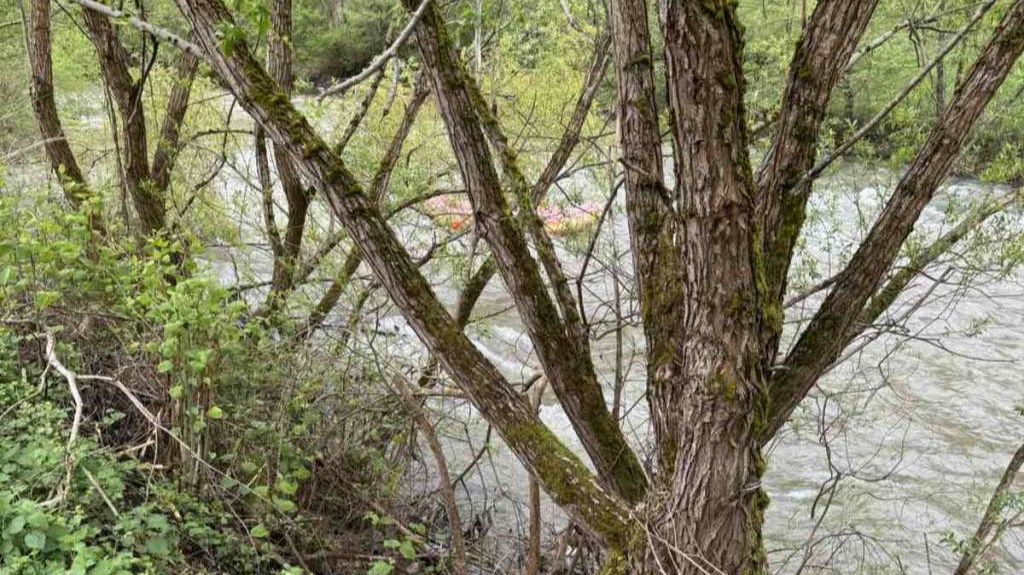 Odmah obavijestio policiju: Ribar pronašao tijelo u Vrbasu