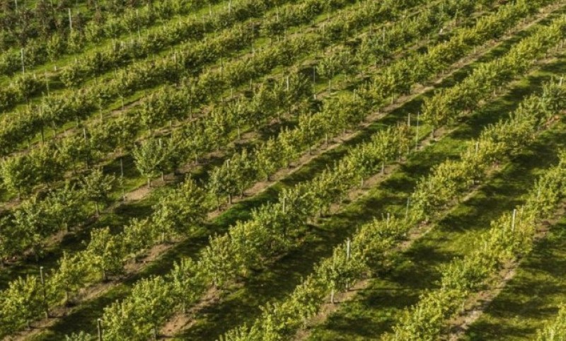 Sve spremno! Sa 300 stanica protivgradna preventiva Srpske ulazi u novu sezonu