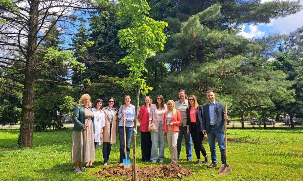 U dvorištu škole zasadili stablo: Banjalučki Gimnazijalci obilježavaju 25 godina mature