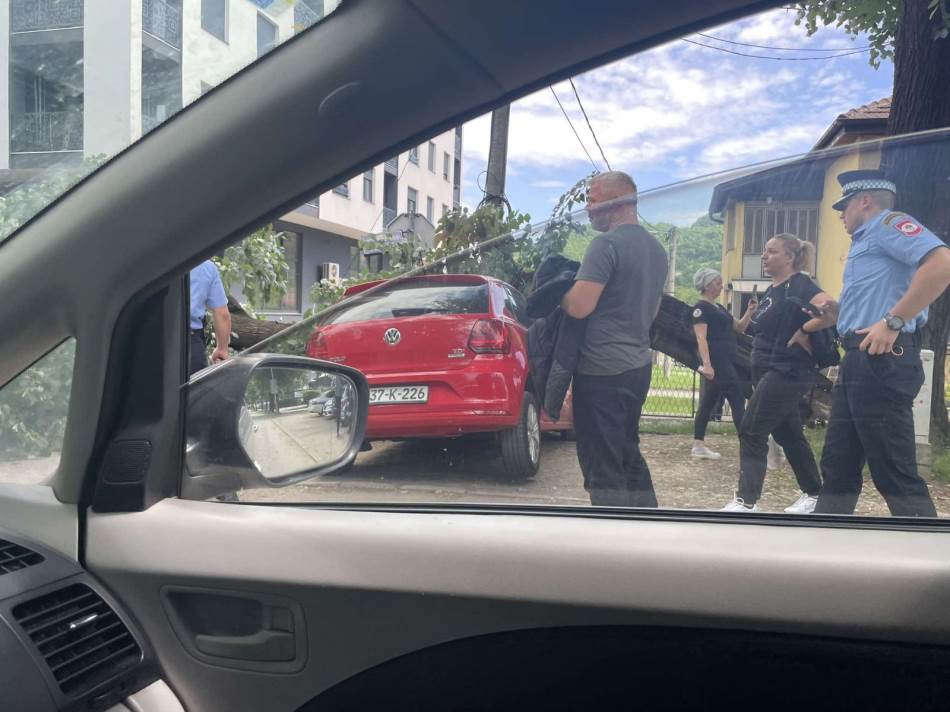 Drugi sličan slučaj u posljednje vrijeme: Drvo palo na auto u Banjaluci, policija na terenu