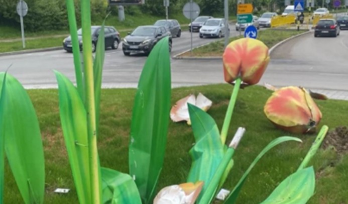 Tulipani “pokošeni”: Uništena instalacija u kružnom toku u Banjaluci FOTO