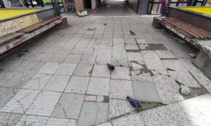 Naslovna slika br 23