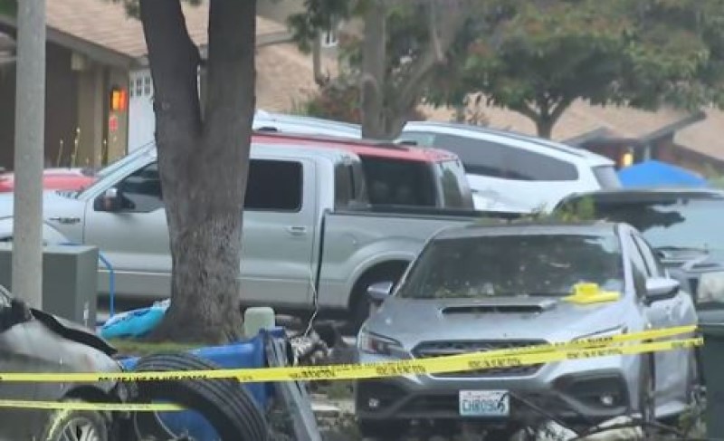 Detalji strave i užasa: Otkriveno ko je vlasnik aviona koji je uništio najmanje 15 kuća