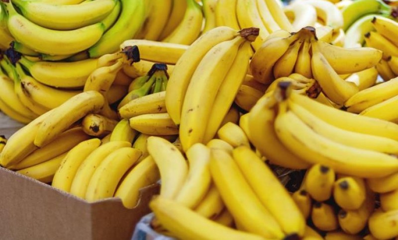 Loše vijesti: Klima uništava banane, u riziku čak 80 odsto svjetskog izvoza