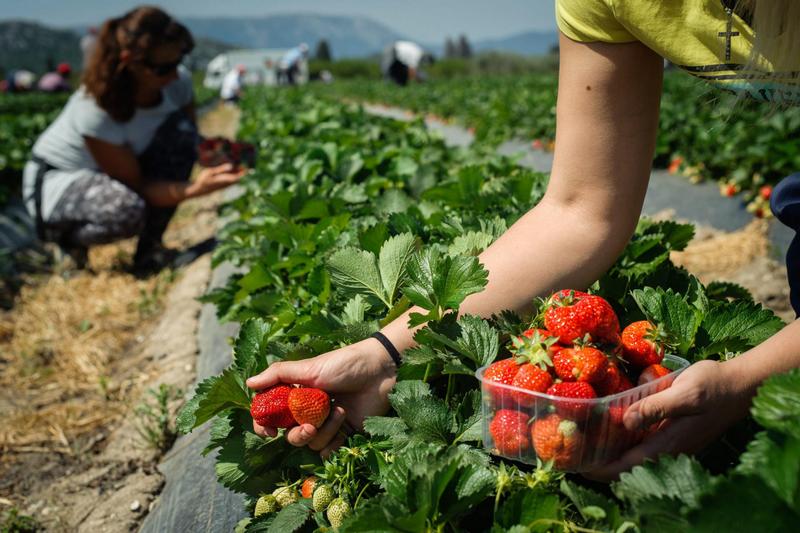 Niko neće da radi za 100 KM dnevno, čekaju se strani radnici