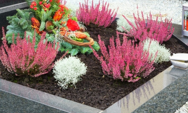 Bojan donio važnu životnu odluku: Pjevač kupio grobno mjesto, daleko od porodice