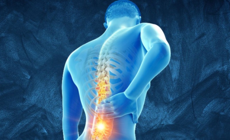 Jorgovan kao melem: Kako biljka predivnog mirisa ublažava reumu i išijas