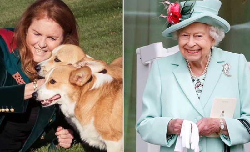 Bivša snaha kraljice Elizabete je usvojila njene ljubimce: “Priča sa mnom kroz pse”