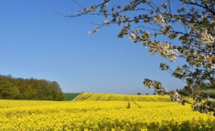 Spremite se! Maj donosi sunce i temperature do 32 stepena u Srpskoj, ali ne zadugo