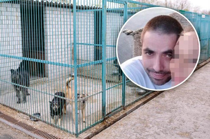 Jeziv slučaj u prihvatilištu: Volonter osuđen zbog uginuća 120 pasa