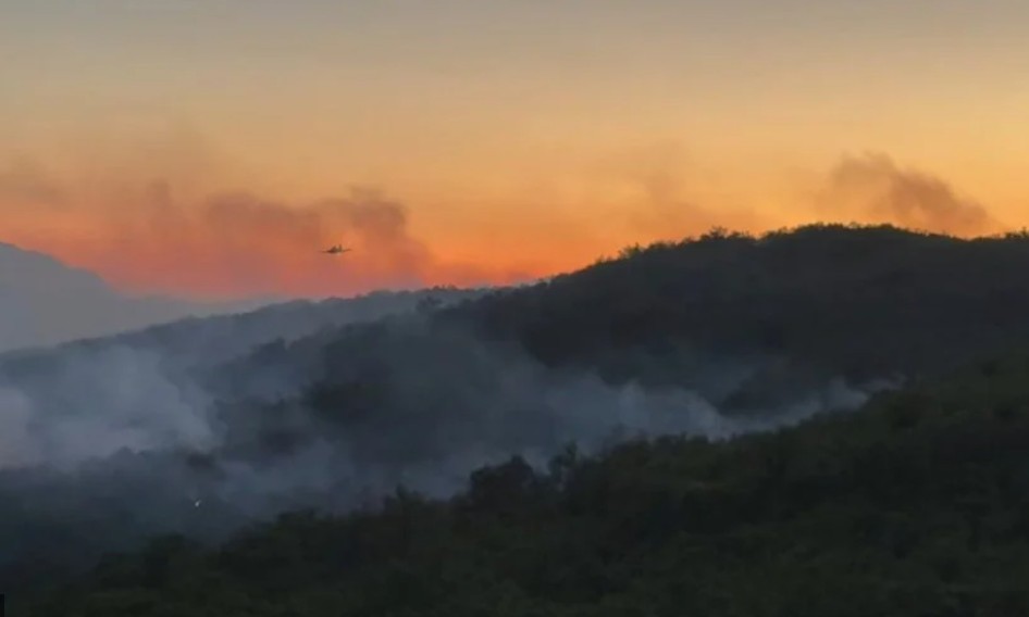 Uz velike napore i borbu vatrogasaca: Ugašen veliki požar u Grudama
