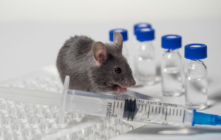 Raste broj novih slučajeva: Oboljelo 67 osoba od leptospiroze u KS