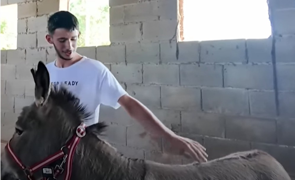 Tek punoljetni Mirko vodi vlastitu farmu: “Lagan je posao ko je navikao” VIDEO