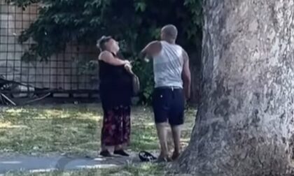 Nasilje u javnosti: Muškarac pred prolaznicima šamarao ženu VIDEO