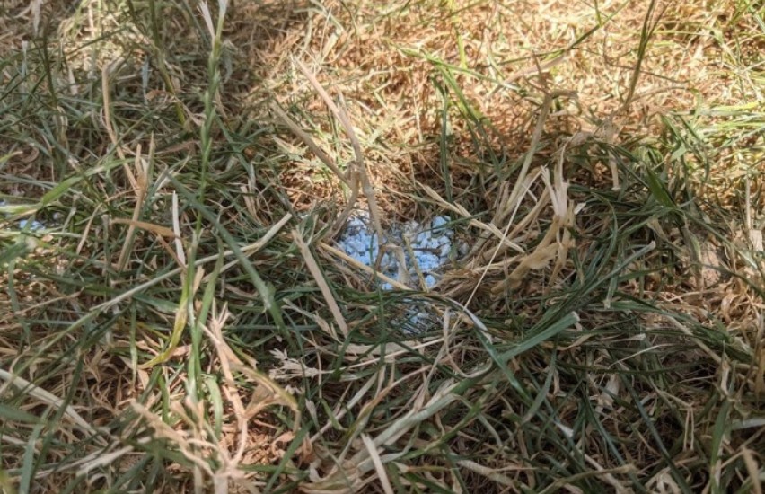 Upućena oštra kritika: Opasan otrov u dječijem parku