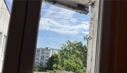 Naslovna slika br 13