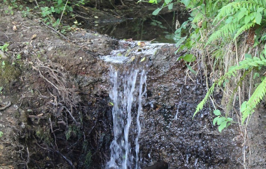 Stočari u strahu: Presušile rijeke u Potkozarju