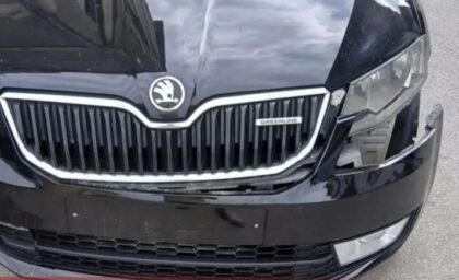 Poziv na krajnji oprez: Psi lutalice oštetili automobil