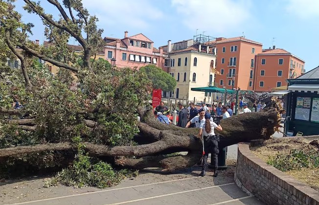 Incident u Veneciji: Palo drvo, 10 osoba povrijeđeno