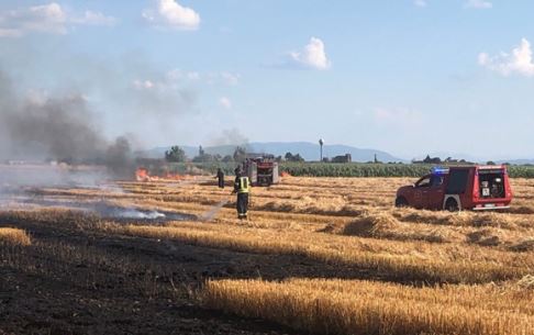 Planula pšenica i rolo bale: Vatrogasci uspješno lokalizovali požar na njivi