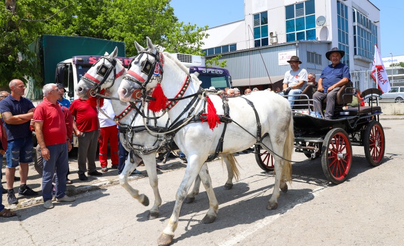 U Banjaluci oživio duh nekih starih vremena: Defile kočija i ove godine posebno zanimljiv VIDEO
