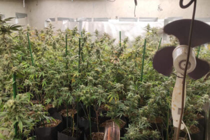 Dvije akcija policije: Otkrivena laboratorija droge i kokain
