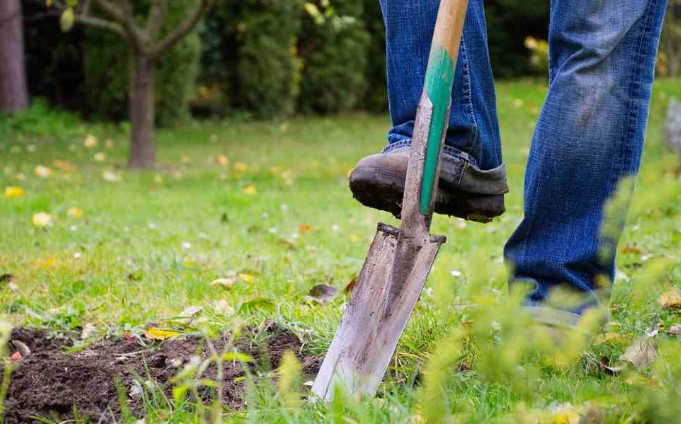 Slučajno otkrio pravo blago: Čovjek kopao crve i našao riznicu sa 20.000 srebrnjaka