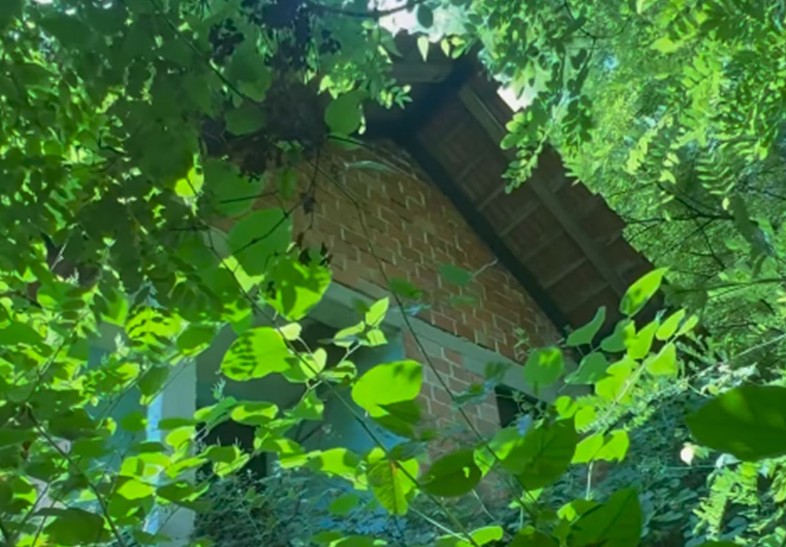 Amerikanac kupio kuću u BiH za 5.000 evra: Tražio je tri sata, ali to nije jedini problem VIDEO