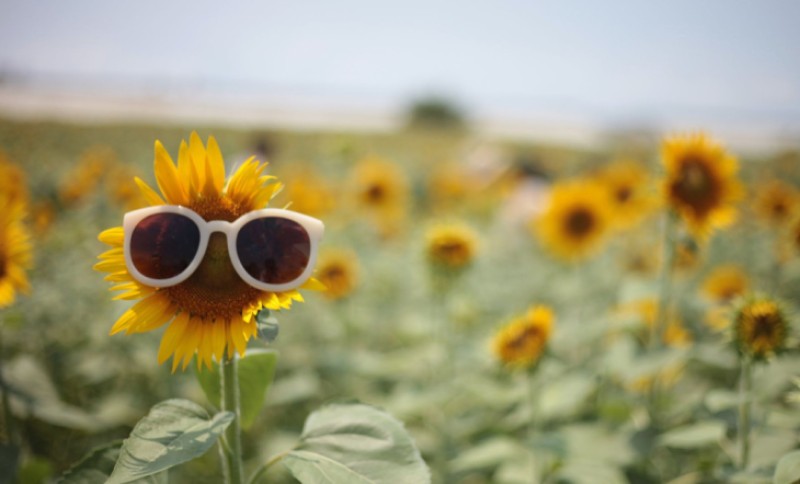Ljeto “u punoj snazi”: I narednih dana vruće, evo do kojeg broja će živa u termometru da skoči