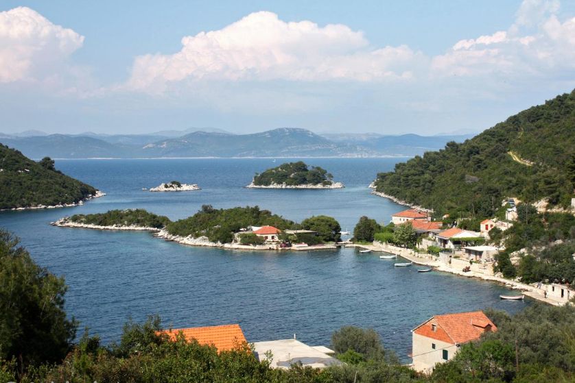 Otkrivene invazivne vrste u Jadranu: Mramornica jede alge, vatrenjača sve ostalo