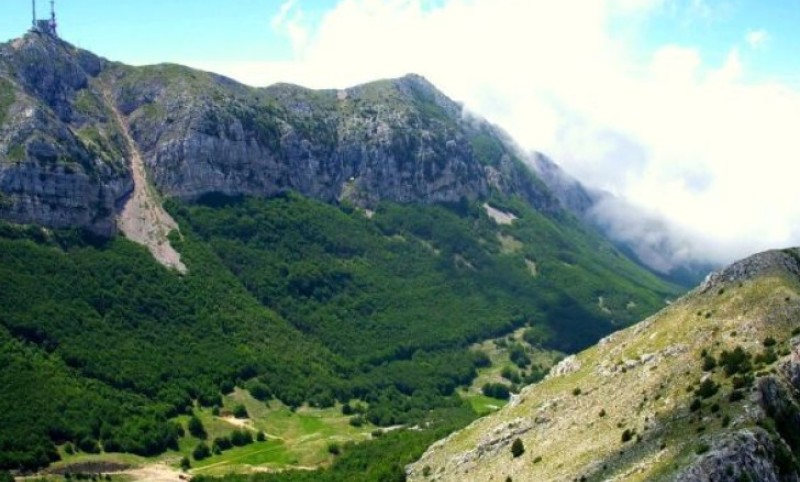 Medvjedi siju strah! Ako planirate posjetu ovim planinama – budite veoma oprezni