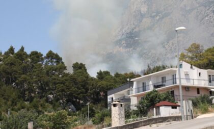 Na terenu vatrogasci, stižu i kanaderi: Izbio požar u gustoj borovoj šumi blizu kuća