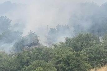 Veliki požar kod Podgorice: Vatrogasci čuvaju kuće, čeka se helikopter za gašenje