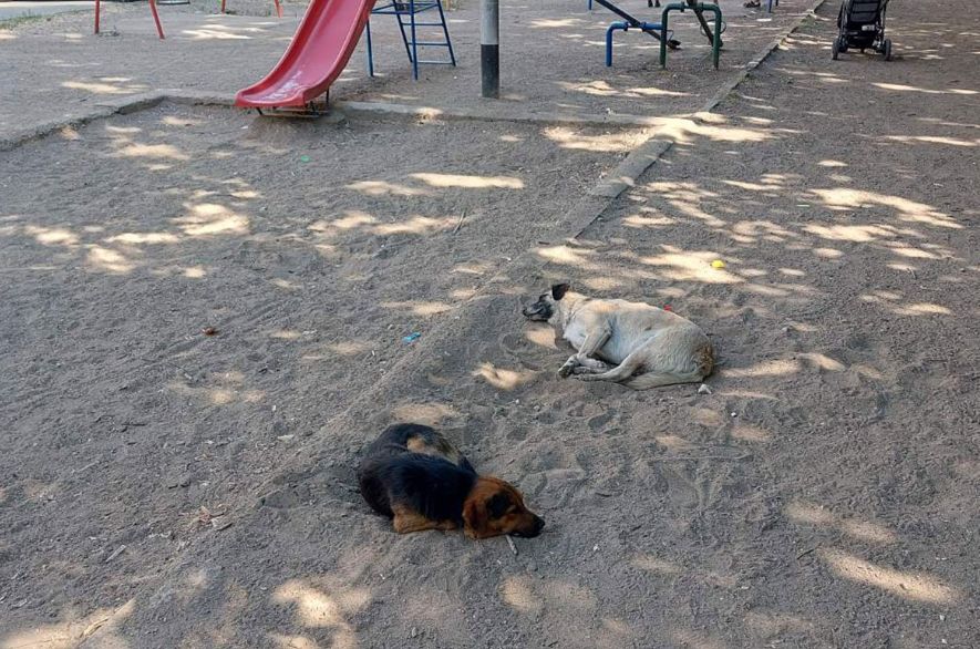 Roditelji djece iz banjalučkog naselja Obilićevo ogorčeni zbog igrališta