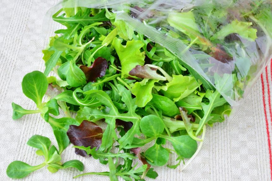 Salata iz kese može da bude izuzetno opasna: Obavezno uradite jednu stvar