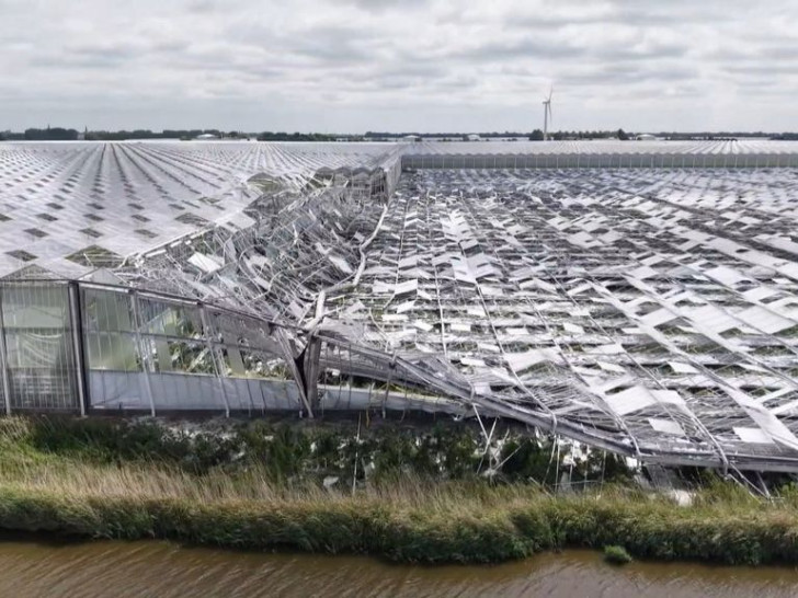 Srušio se kompleks staklenika površine oko devet hektara: Šteta 20 miliona evra
