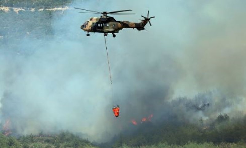 Bjesne šumski požari u Turskoj: Zbog vatre evakuisano više od 50.000 ljudi