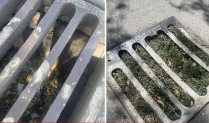 Odvodi začepljeni, raste trava iz njih: Sramni prizori u banjalučkoj ulici, mještani bijesni