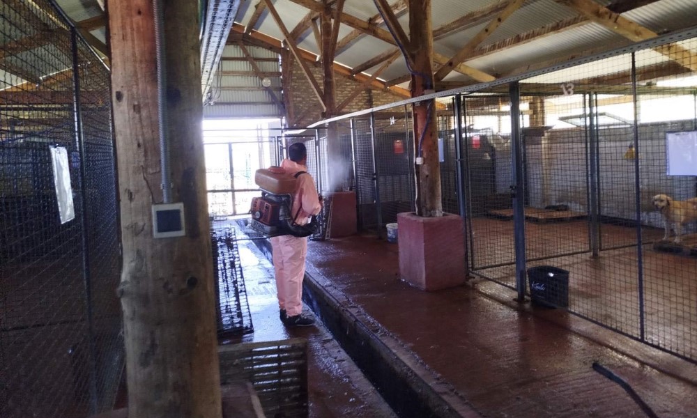 Dezinfekcija, deratizacija i čišćenje: U toku uređenje azila na Manjači